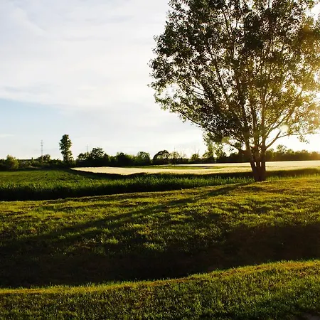 Balaton *